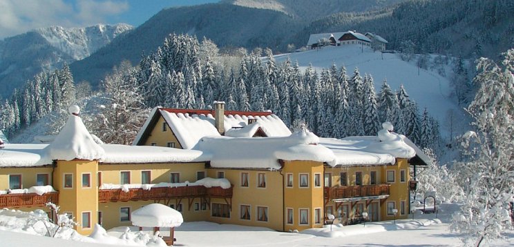 Hotel Waldesruh inkl. 2 Tagesskipass