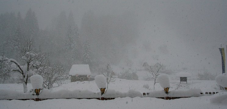 Hotel Waldesruh inkl. 2 Tagesskipass