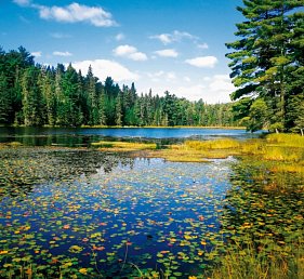 Ostkanada Rundreise – Frühling & Indian Summer