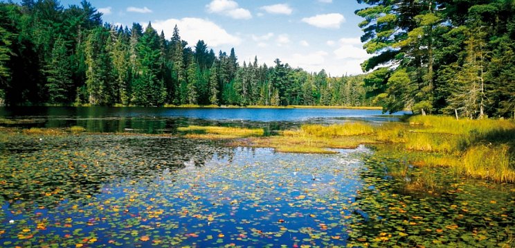 Ostkanada Rundreise – Frühling & Indian Summer