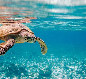 Sternfahrt Zakynthos im Sea Diamond Suites