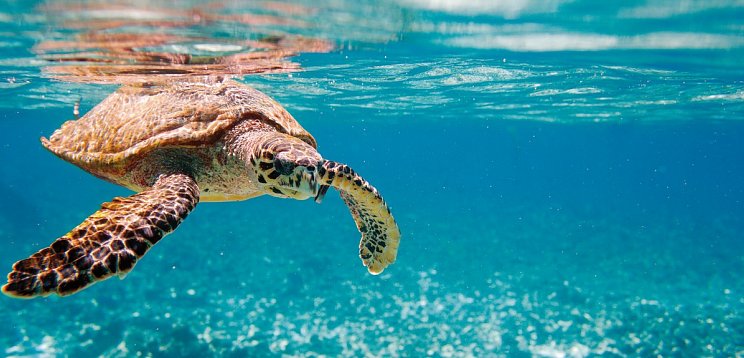 Sternfahrt Zakynthos im Sea Diamond Suites