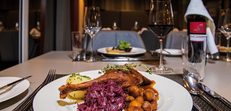 Gansl-Kreuzfahrt - Flusskreuzfahrt mit MS Nestroy