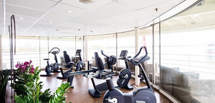 Gansl-Kreuzfahrt - Flusskreuzfahrt mit MS Nestroy