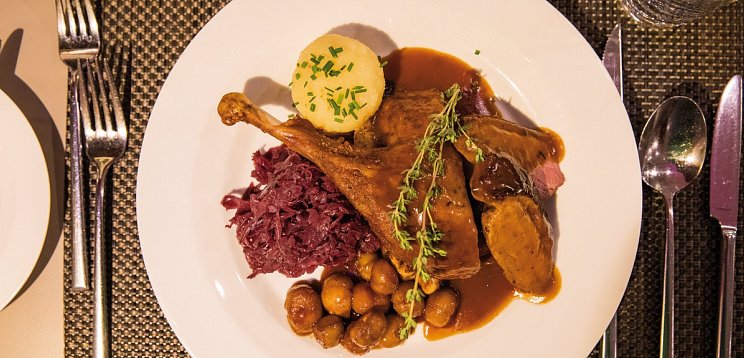 Gansl-Kreuzfahrt - Flusskreuzfahrt mit MS Nestroy