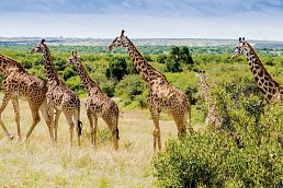 Abenteuer Südafrika