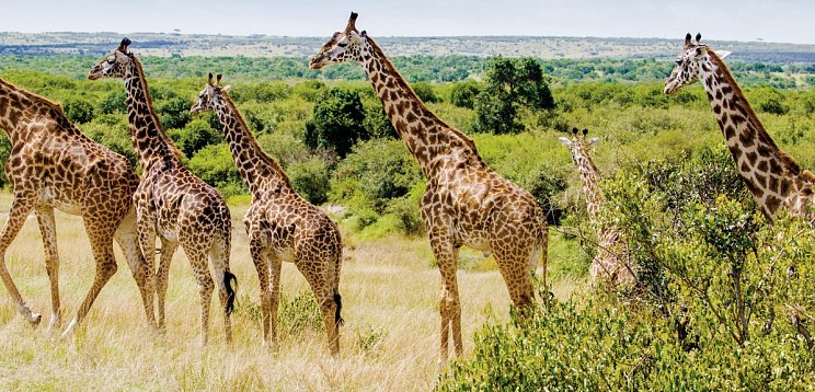 Abenteuer Südafrika
