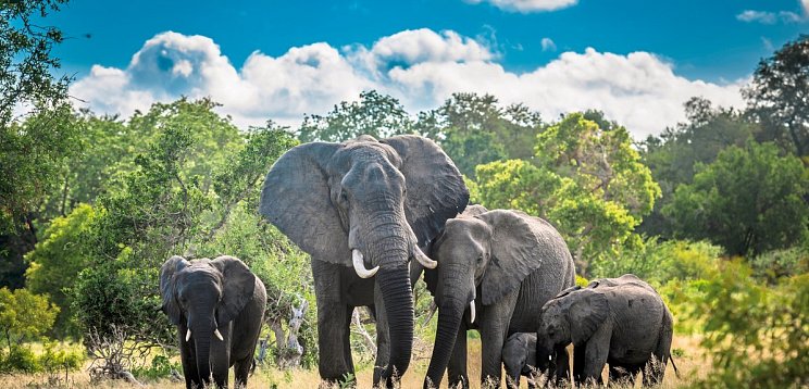 Abenteuer Südafrika