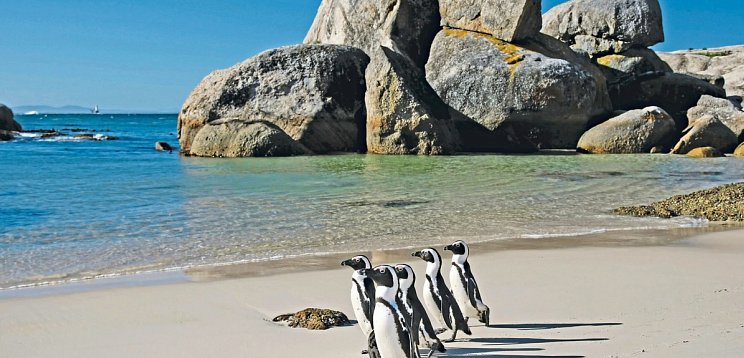 Abenteuer Südafrika