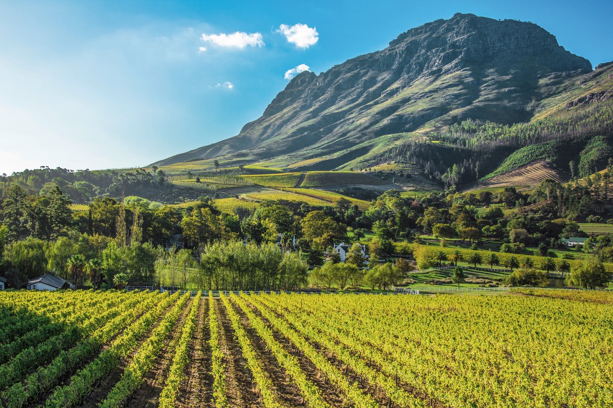 Abenteuer Südafrika