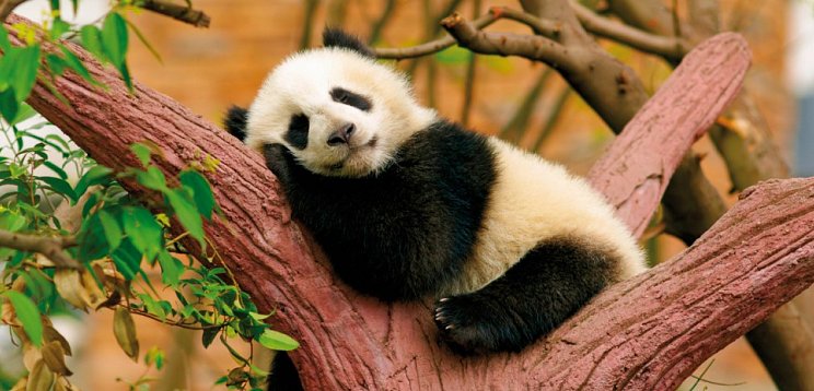 China mit Tibet - Rundreise