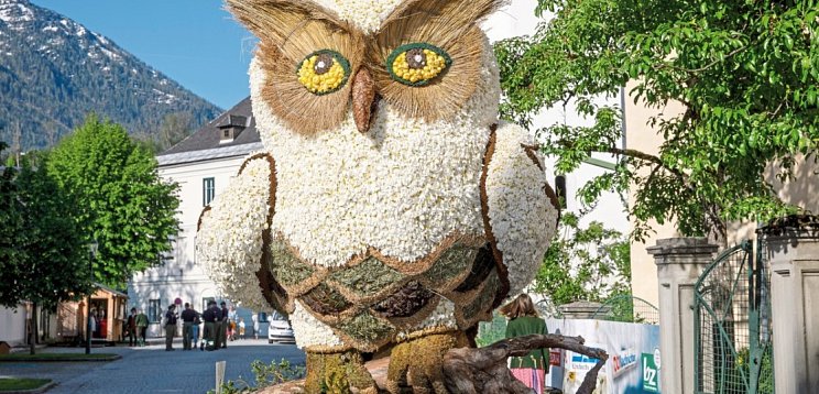 Tagesfahrt im Kaiserzug ins Salzkammergut zum Narzissenfest