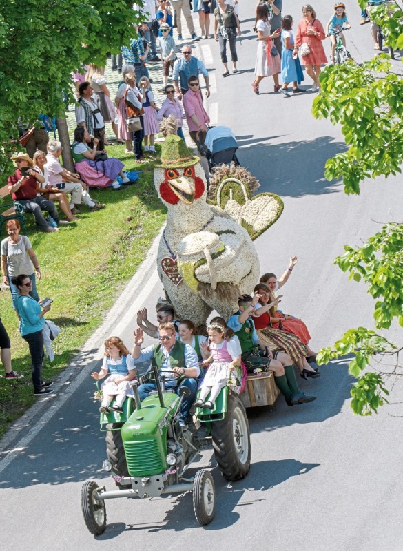 Tagesfahrt im Kaiserzug ins Salzkammergut zum Narzissenfest