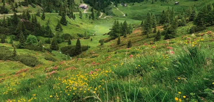 Wanderreise Alpenüberquerung – von Garmisch nach Sterzing