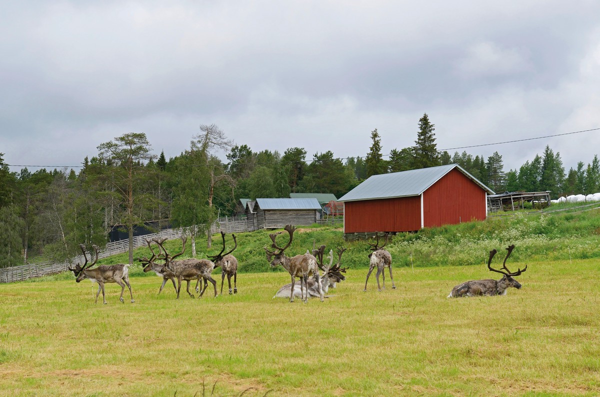 Nordkap