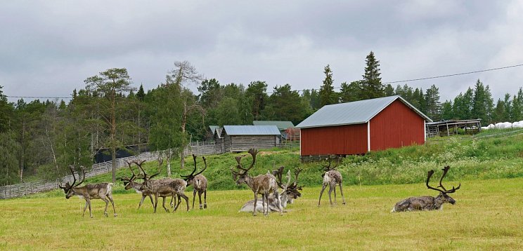 Nordkap