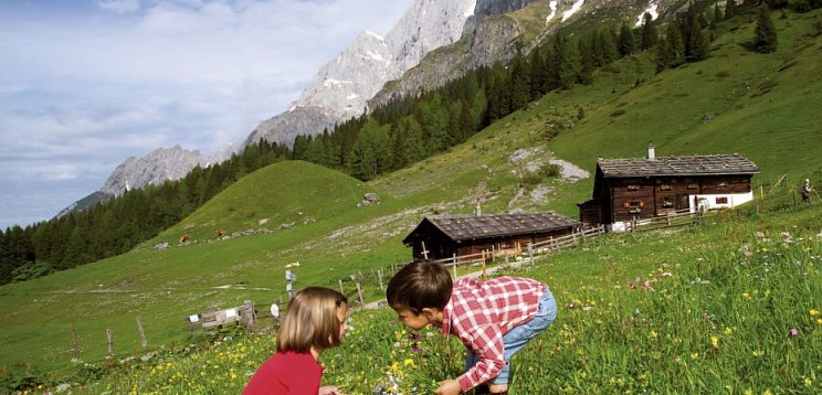 Hotel Pension Heinrichshof