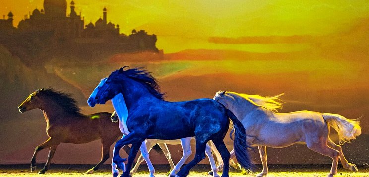 Show CAVALLUNA Die Farben des Lebens Salzburg