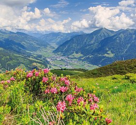 Das Alpenhaus Gasteinertal