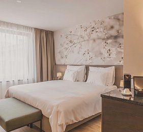 Hotel DAS SAAL