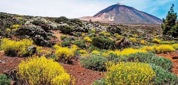 Sternfahrt Teneriffa