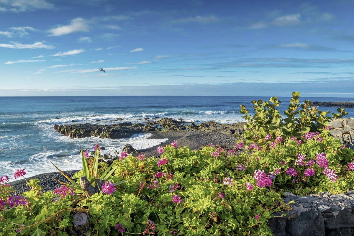 Sternfahrt Teneriffa