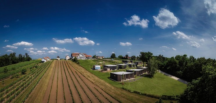WeinZeit am Hannersberg