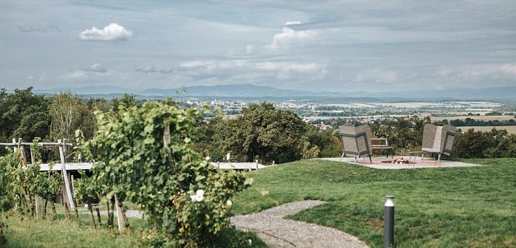 WeinZeit am Hannersberg