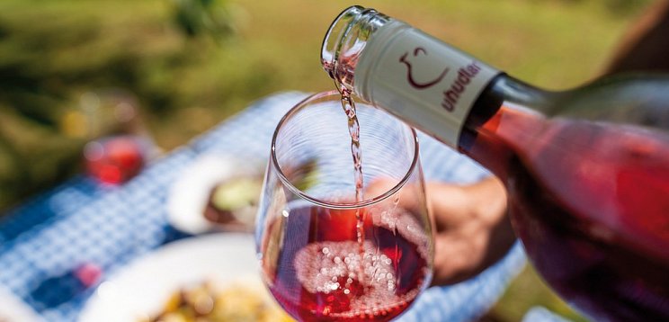 WeinZeit am Hannersberg