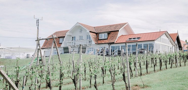 WeinZeit am Hannersberg