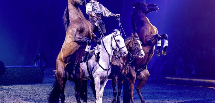 CAVALLUNA in der Wiener Stadthalle