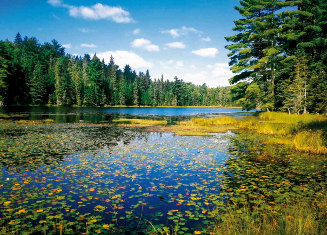 Ostkanada Rundreise – Frühling & Indian Summer